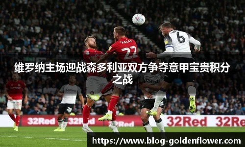 维罗纳主场迎战森多利亚双方争夺意甲宝贵积分之战